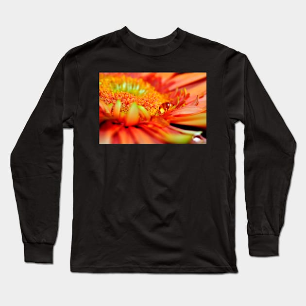 Macro photo of an Orange Gerbera with a teardrop Long Sleeve T-Shirt by marina63